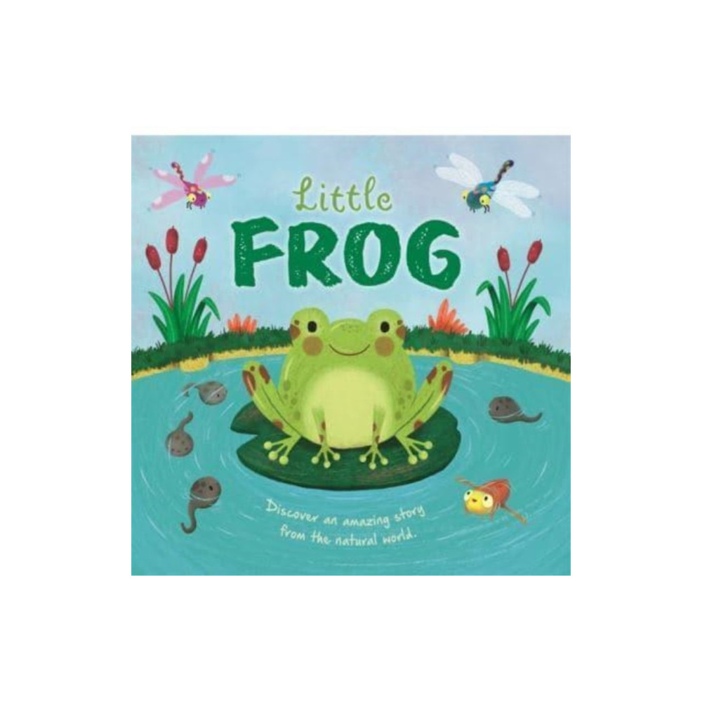 Little Frog (inbunden, english) Bonnier Books Ltd