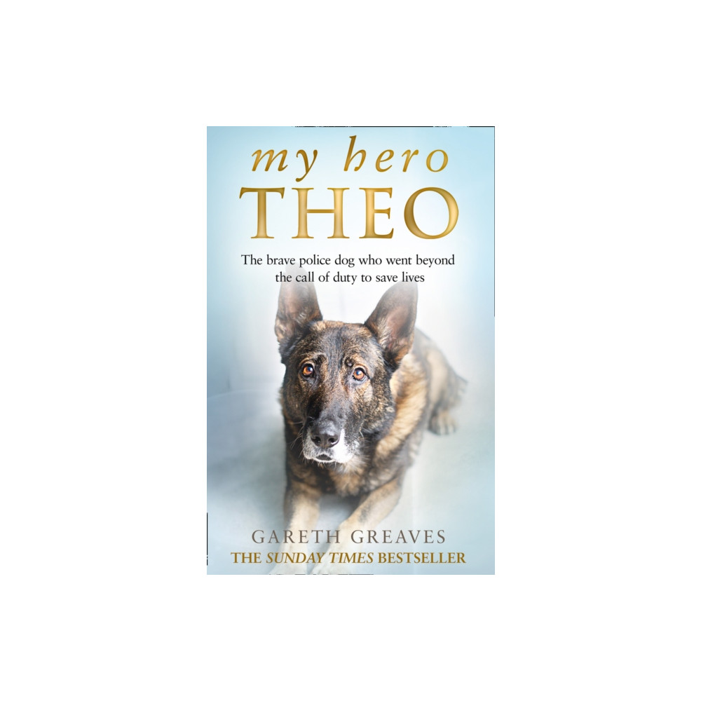 My Hero Theo (häftad, english) HarperCollins Publishers