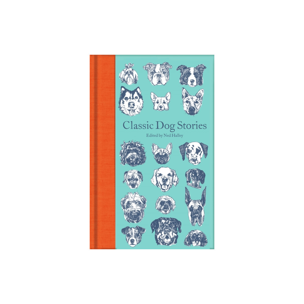 Classic Dog Stories (inbunden, eng)