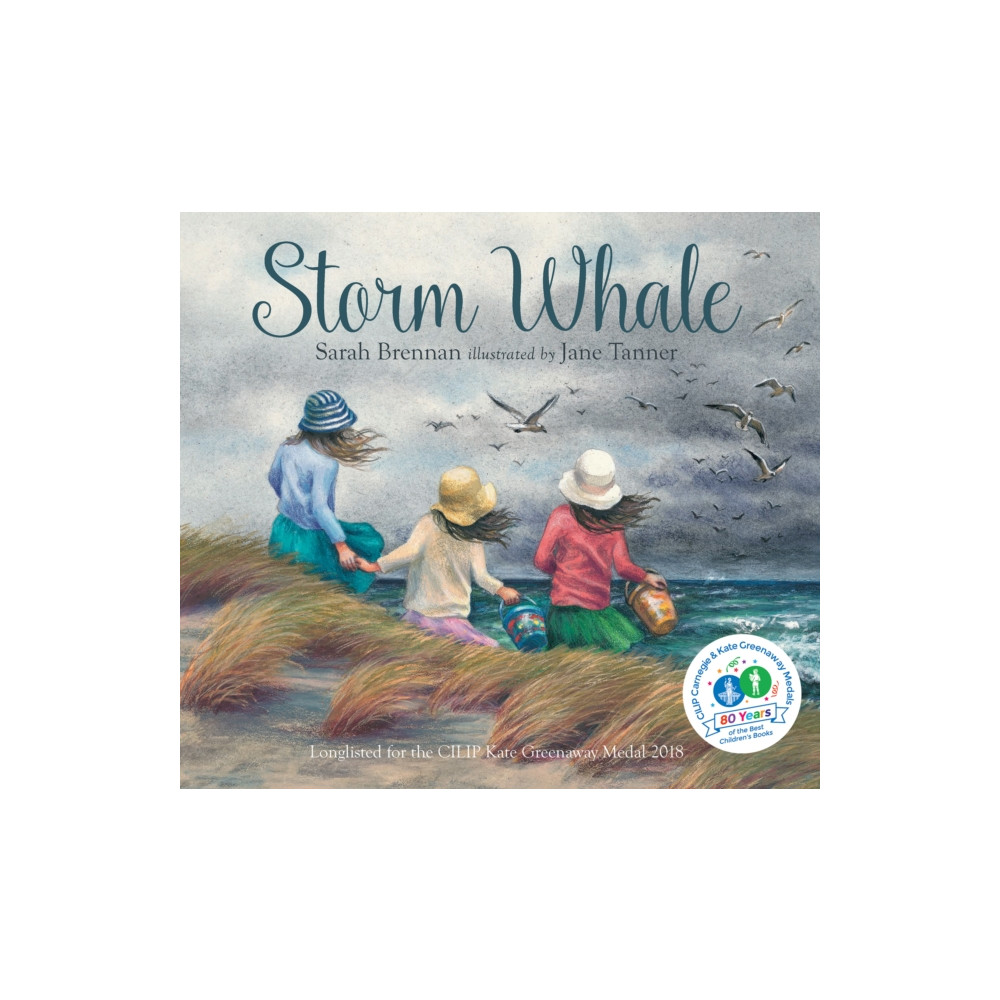 Storm Whale (häftad, english) Old Barn Books