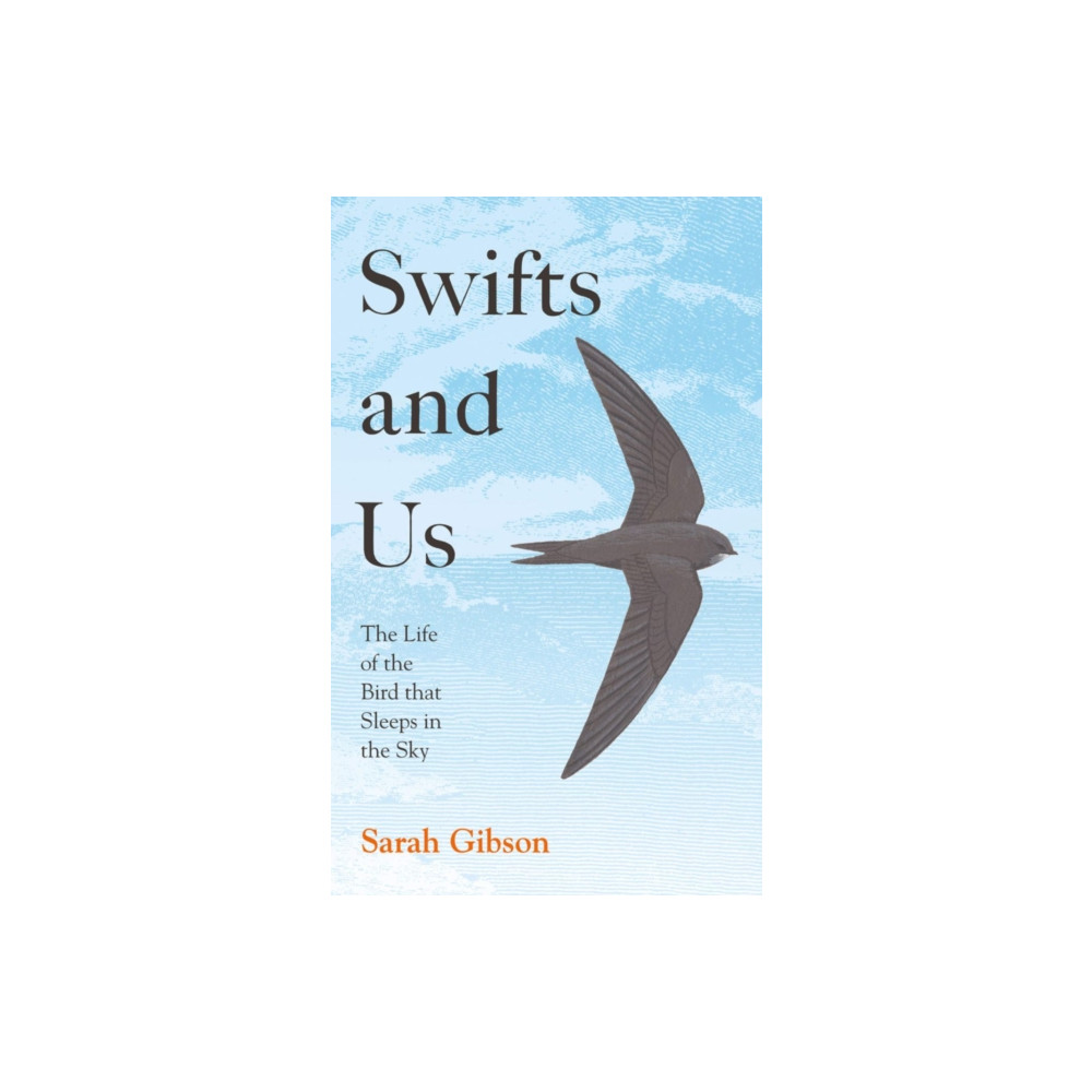 Swifts and Us (häftad, english) HarperCollins Publishers
