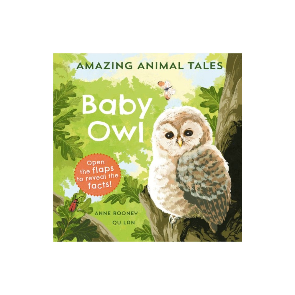 Amazing Animal Tales: Baby Owl (inbunden, english) Oxford University Press