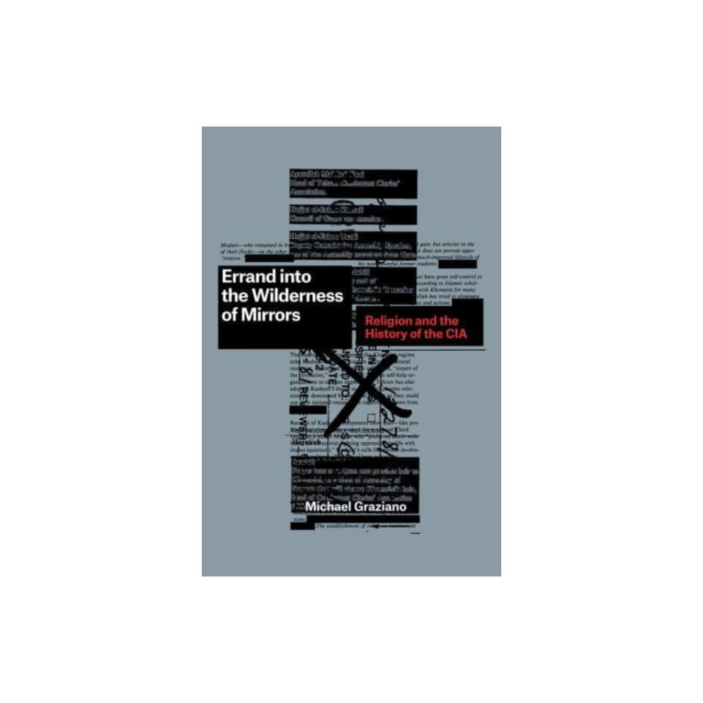 Errand into the Wilderness of Mirrors (häftad, english) The university of chicago press
