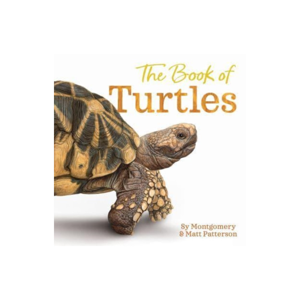 The Book of Turtles (inbunden, english) Harpercollins publishers inc