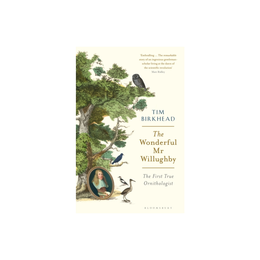 The Wonderful Mr Willughby (häftad, english) Bloomsbury Publishing PLC