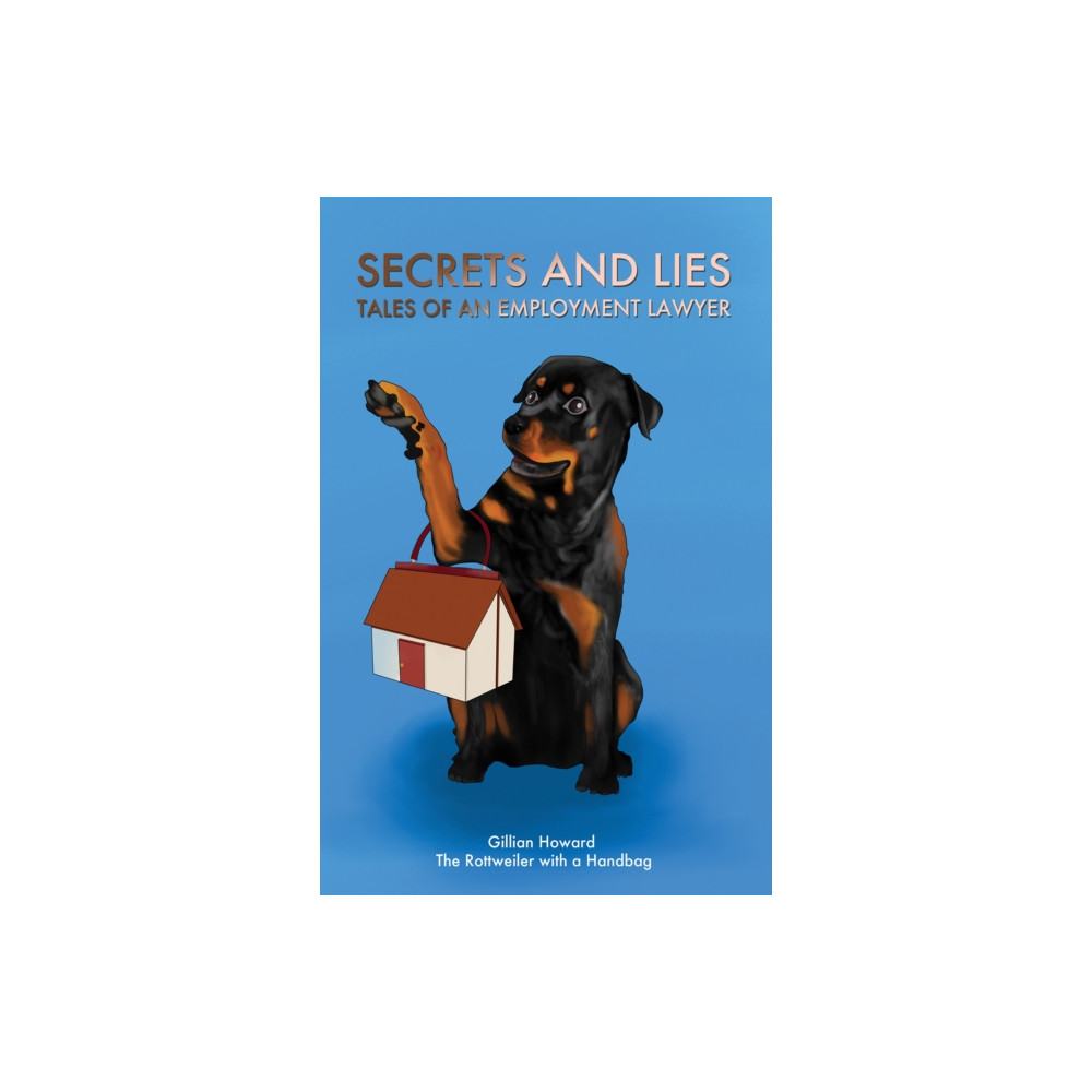 Secrets and Lies - Tales of an Employment Lawyer (häftad, english) Austin Macauley Publishers