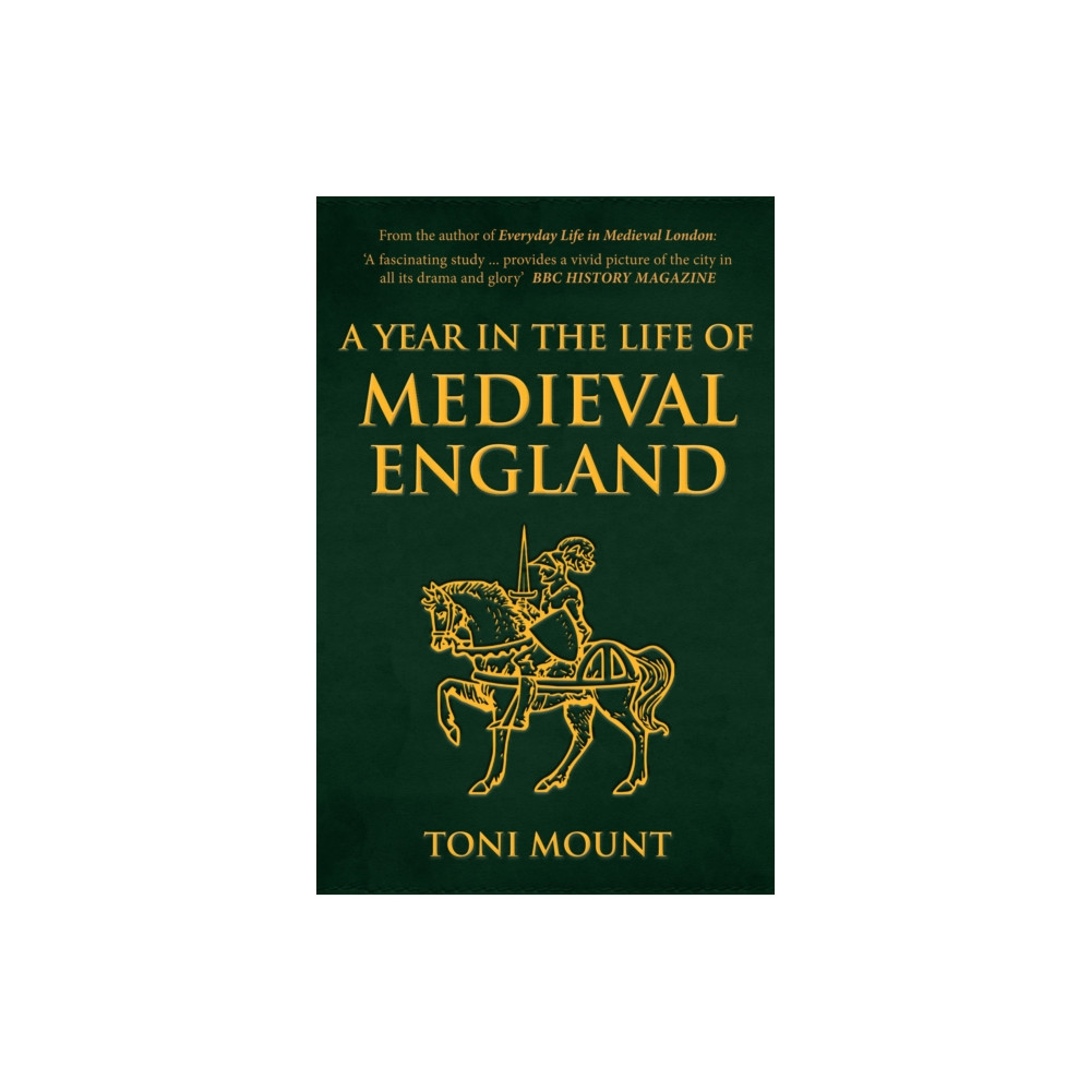 A Year in the Life of Medieval England (häftad, english) Amberley Publishing