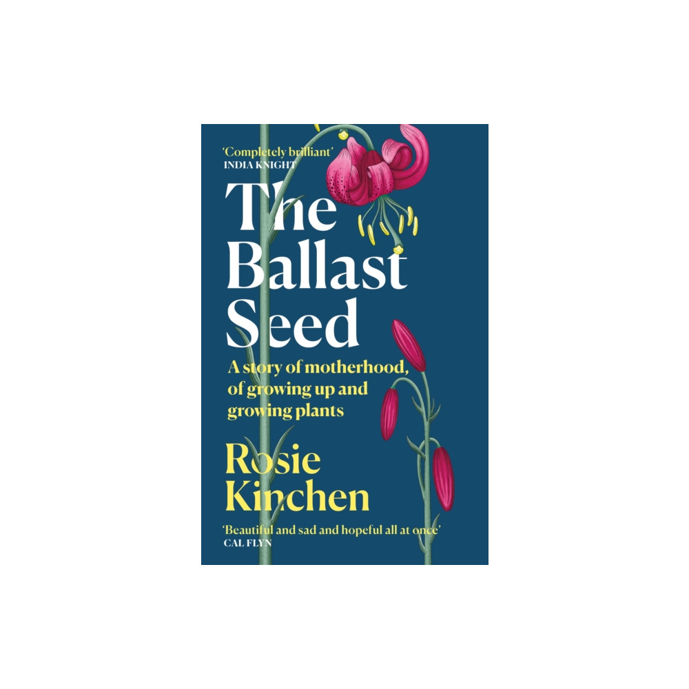 The Ballast Seed (häftad, english) Orion Publishing Co
