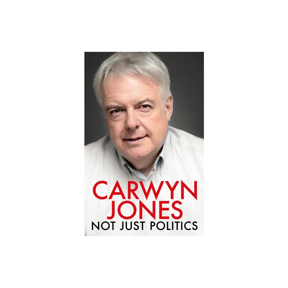 Not Just Politics (häftad, english) Headline Publishing Group