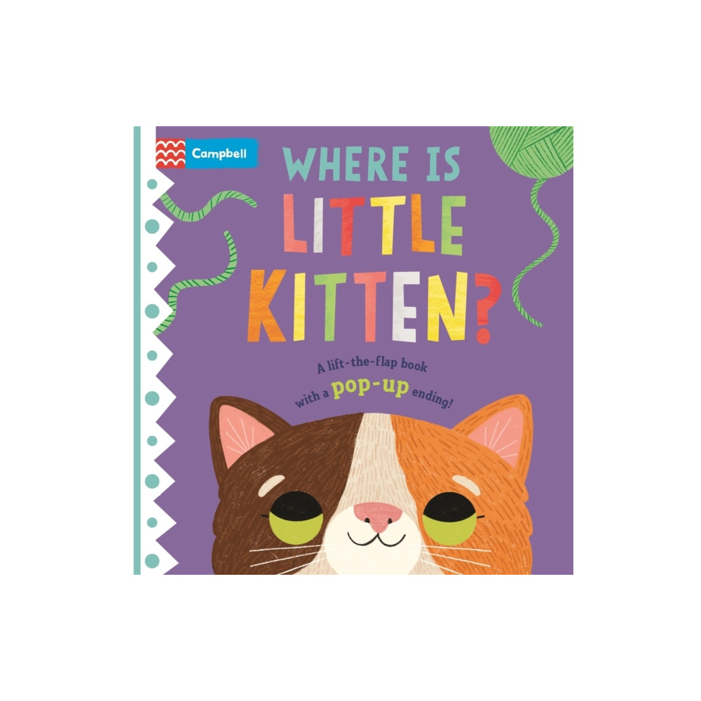 Pan Macmillan Where is Little Kitten? (bok, board book, eng)