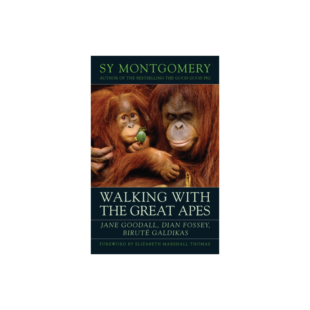 Walking with the Great Apes (häftad, english) Chelsea Green Publishing Co