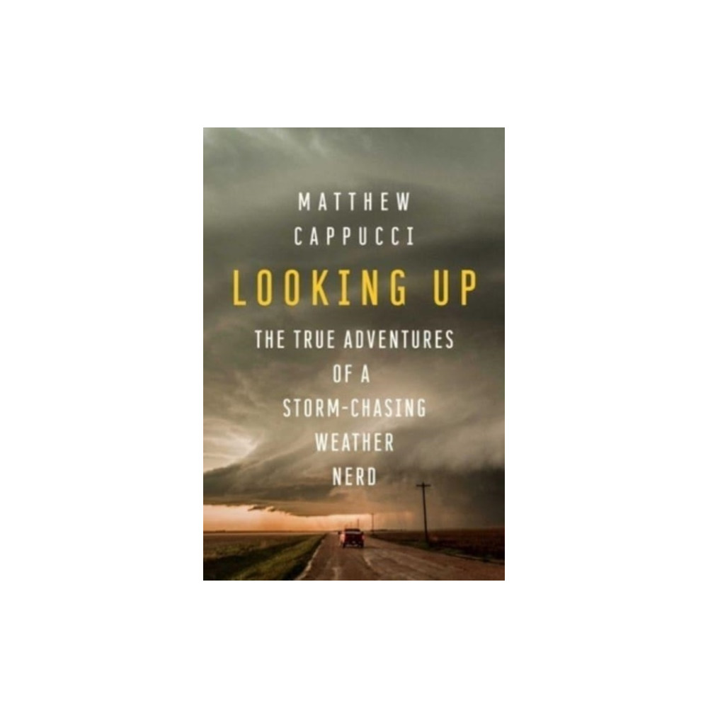Looking Up (häftad, eng)