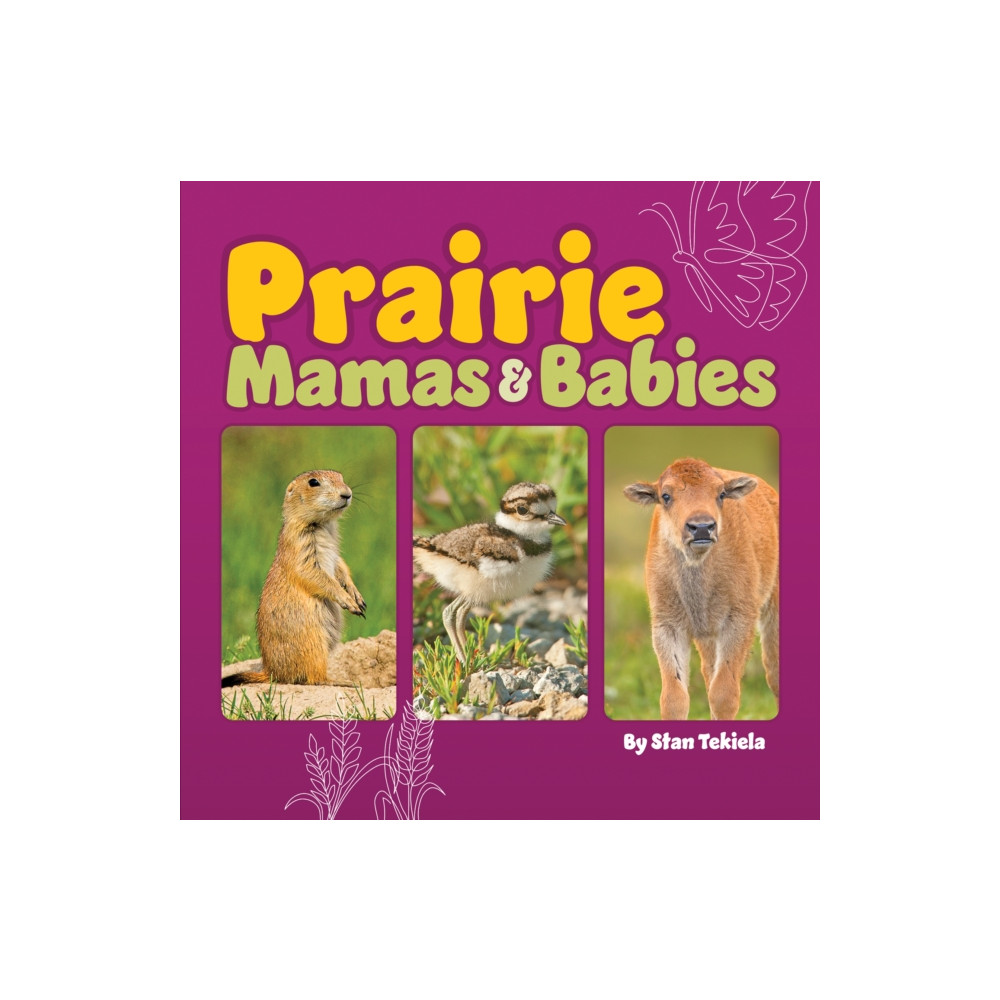 Prairie Mamas and Babies (bok, board book, english) Adventure Publications, Incorporated