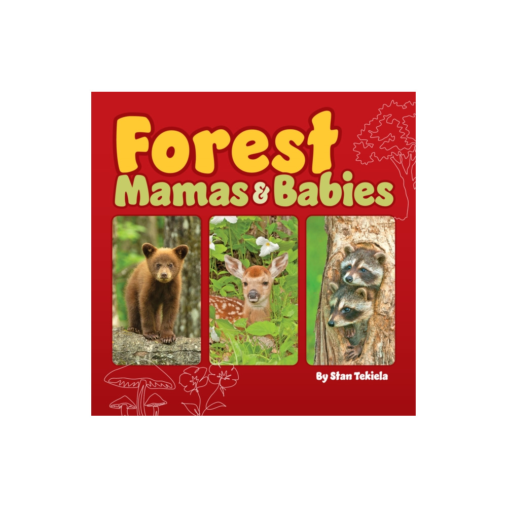 Forest Mamas and Babies (bok, board book, english) Adventure Publications, Incorporated