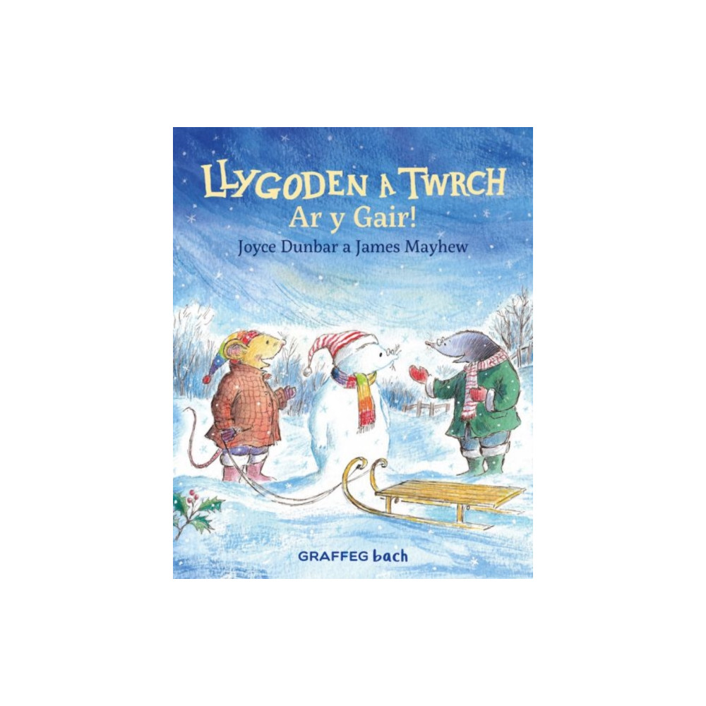 Llygoden a Twrch: Ar y Gair! (häftad, wel) Graffeg Limited