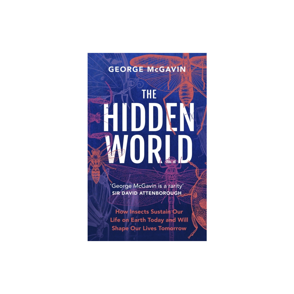 The Hidden World (inbunden, english) Headline Publishing Group