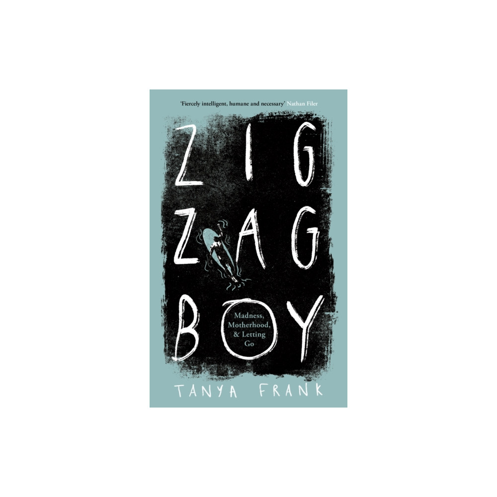 Zig-Zag Boy (inbunden, eng)