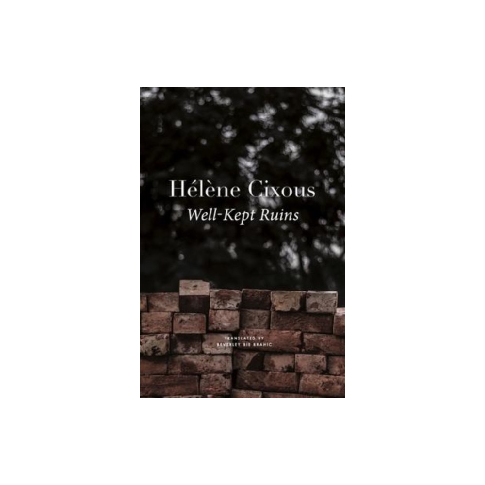 Well–Kept Ruins (inbunden, english) Seagull Books London Ltd