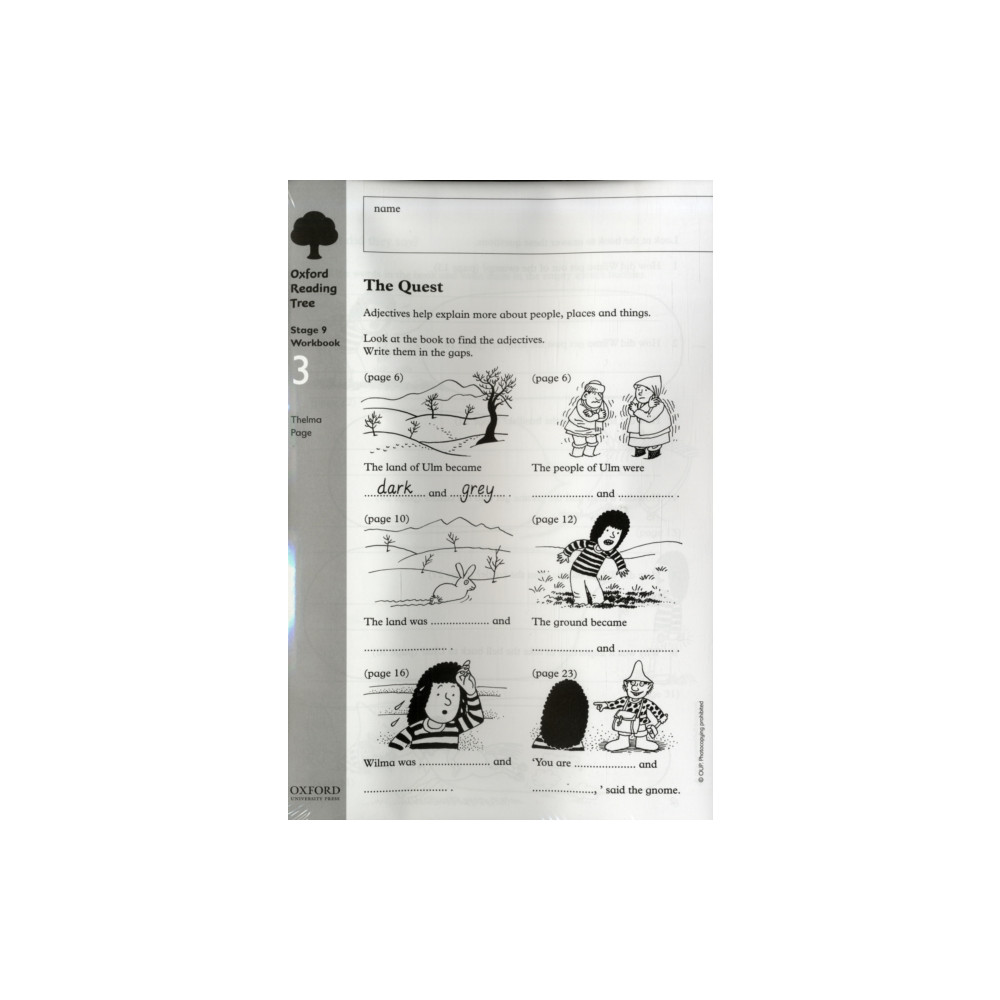 Oxford Reading Tree: Level 9: Workbooks: Workbook 3: The Quest and Survival Adventure (Pack of 6) (häftad, english) Oxford University Press