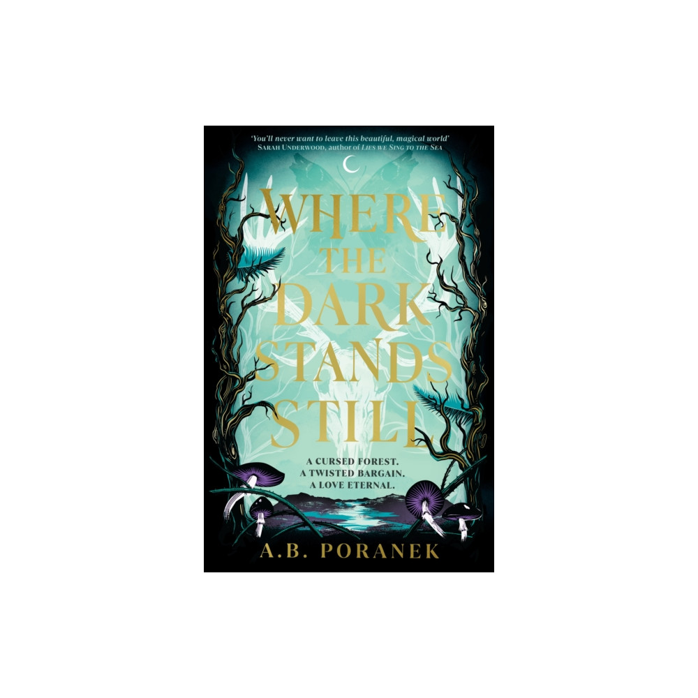 Where the Dark Stands Still (inbunden, english) Penguin Random House Children's UK