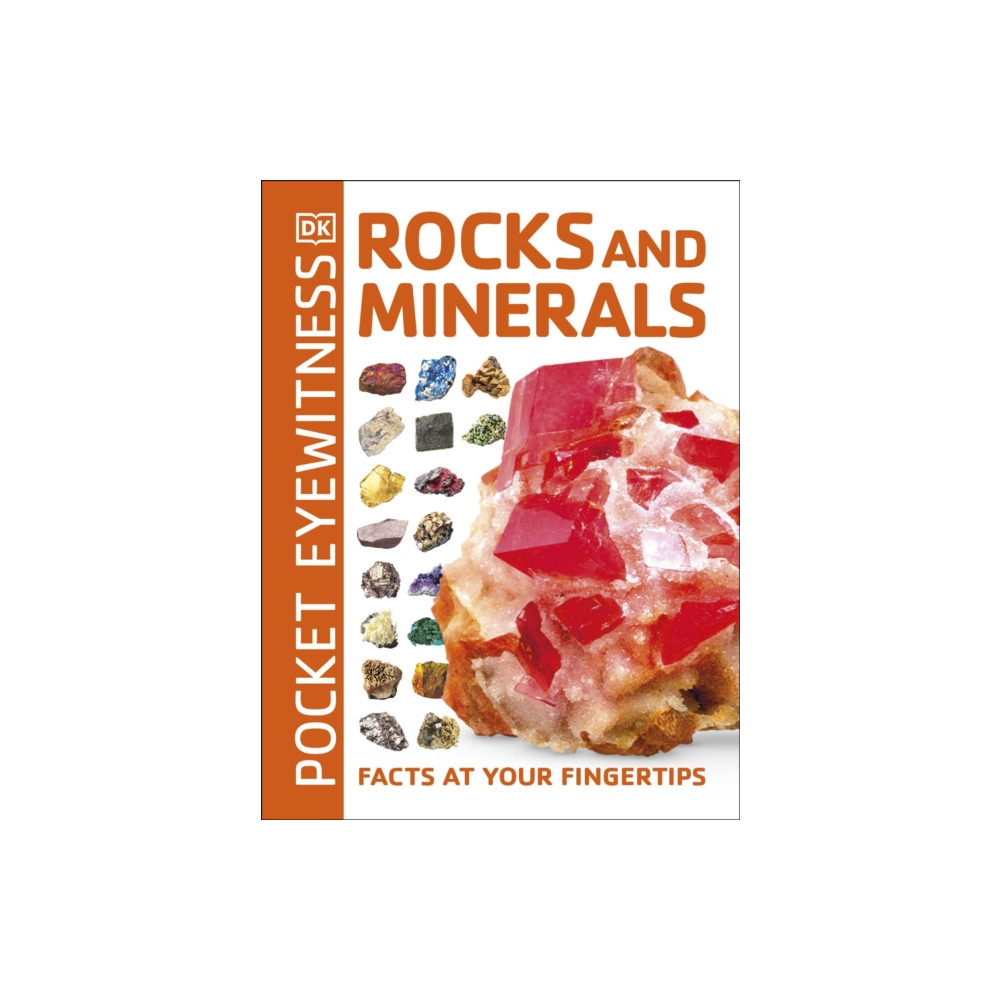Pocket Eyewitness Rocks and Minerals (häftad, english) Dorling Kindersley Ltd