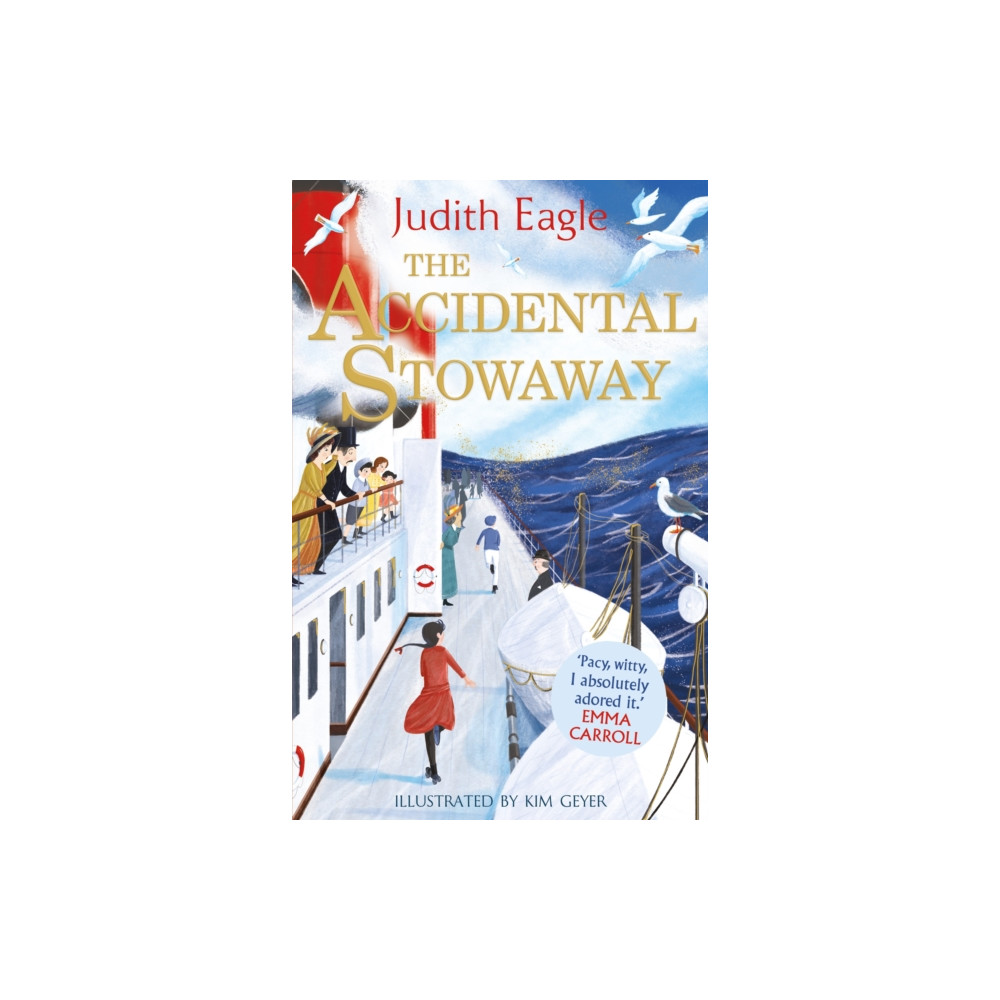 The Accidental Stowaway (häftad, english) Faber & Faber