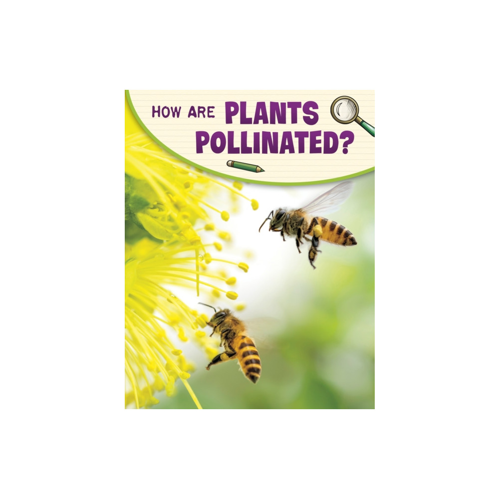 How Are Plants Pollinated? (häftad, english) Capstone Global Library Ltd
