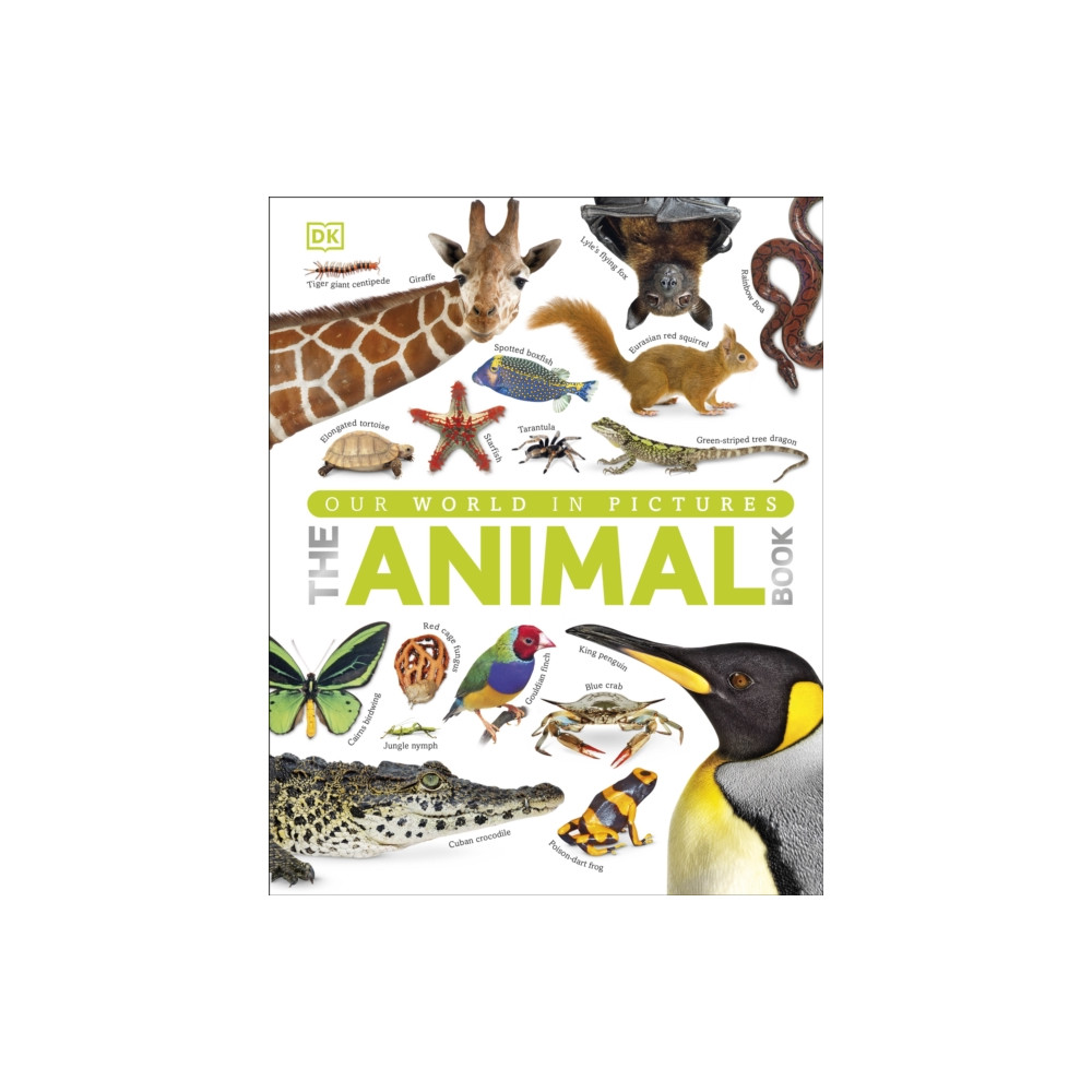 Our World in Pictures The Animal Book (inbunden, english) Dorling Kindersley Ltd