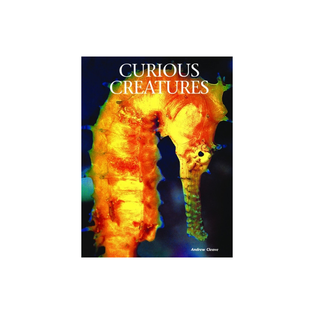 Curious Creatures (inbunden, english) Mason Crest Publishers