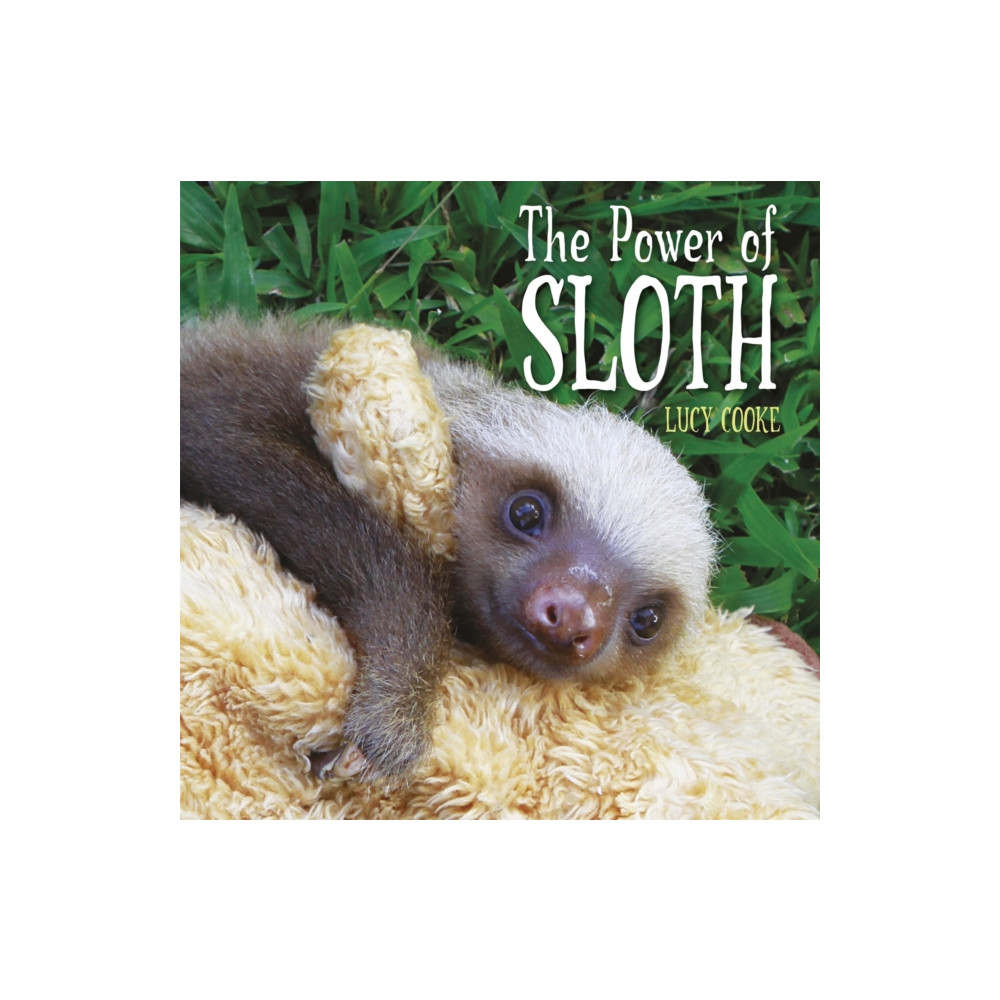 The Power of Sloth (häftad, english) Hachette Children's Group