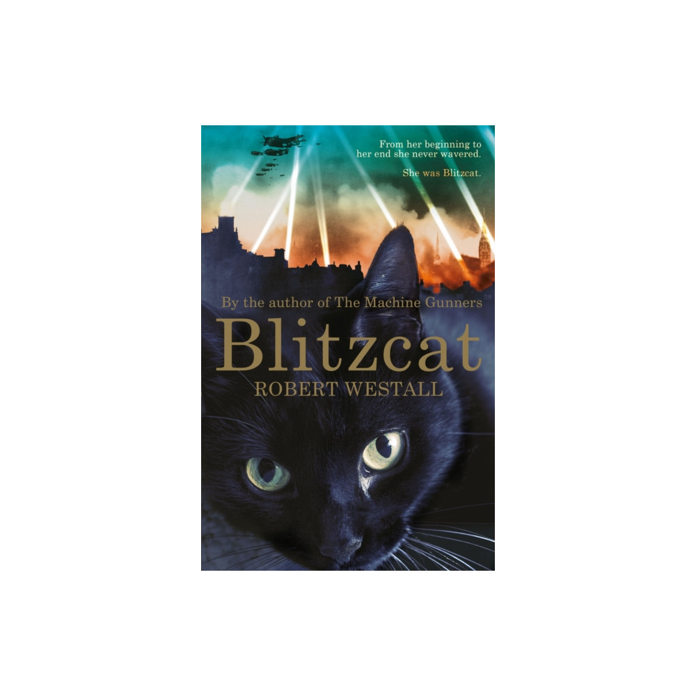 Blitzcat (häftad, english) Pan Macmillan