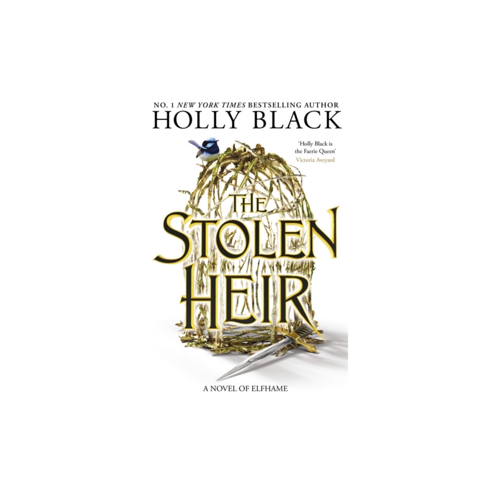 The Stolen Heir (häftad, english) Hot Key Books
