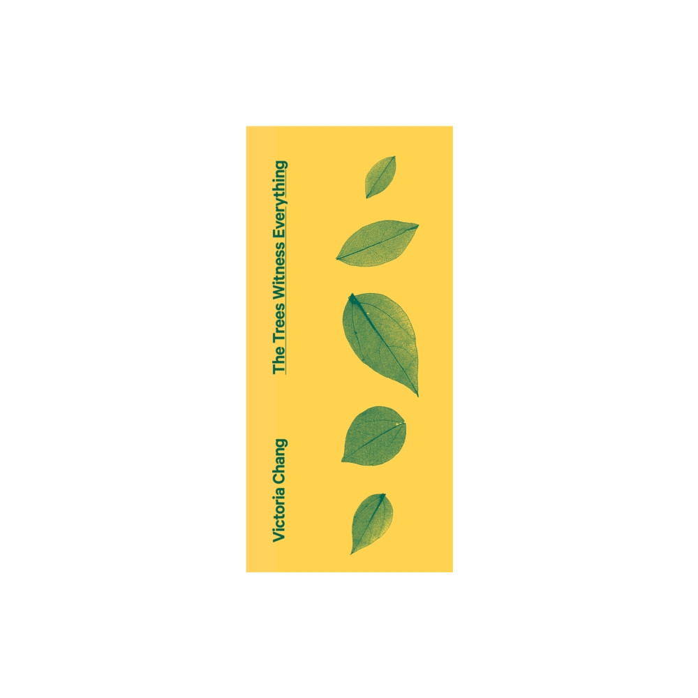 The Trees Witness Everything (häftad, english) Little, Brown Book Group