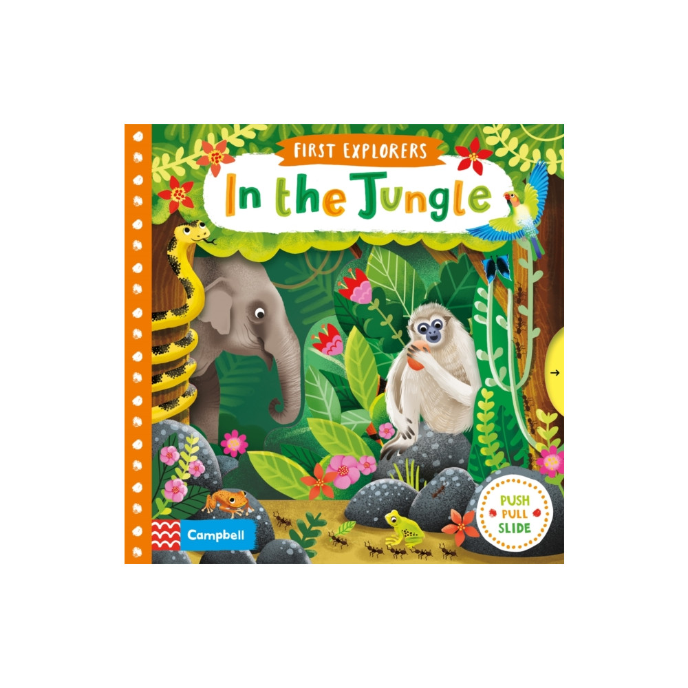 In the Jungle (bok, board book, english) Pan Macmillan