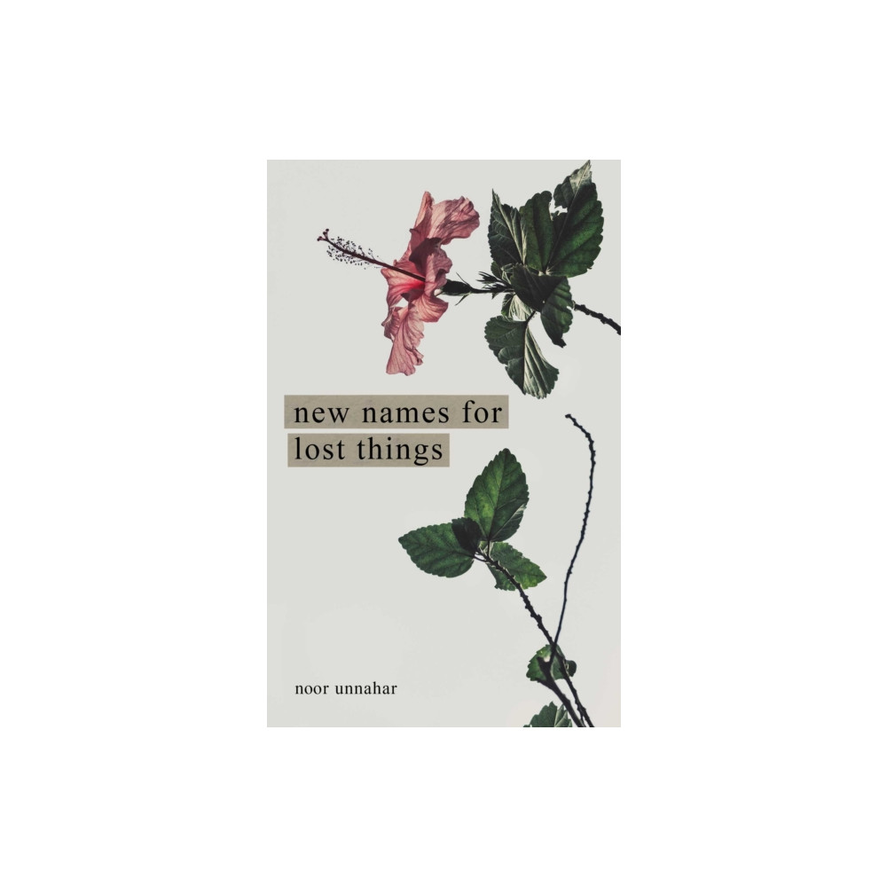 New Names for Lost Things (häftad, english) Andrews McMeel Publishing
