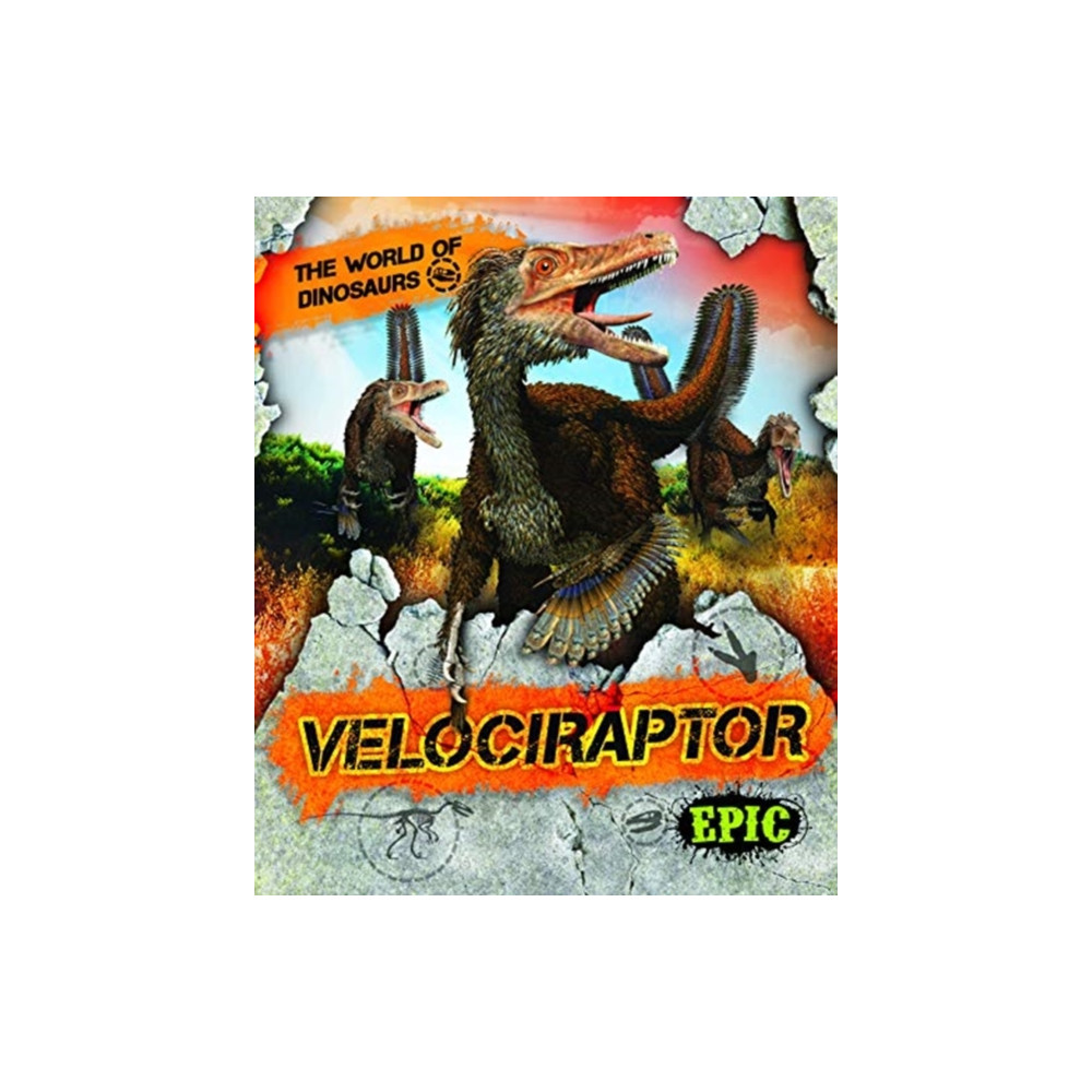 Velociraptor (inbunden, english) Bellwether Media