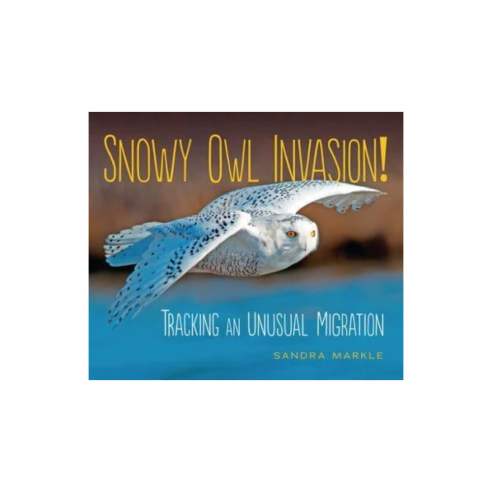 Snowy Owl Invasion! (häftad, english) Millbrook Press (Tm)