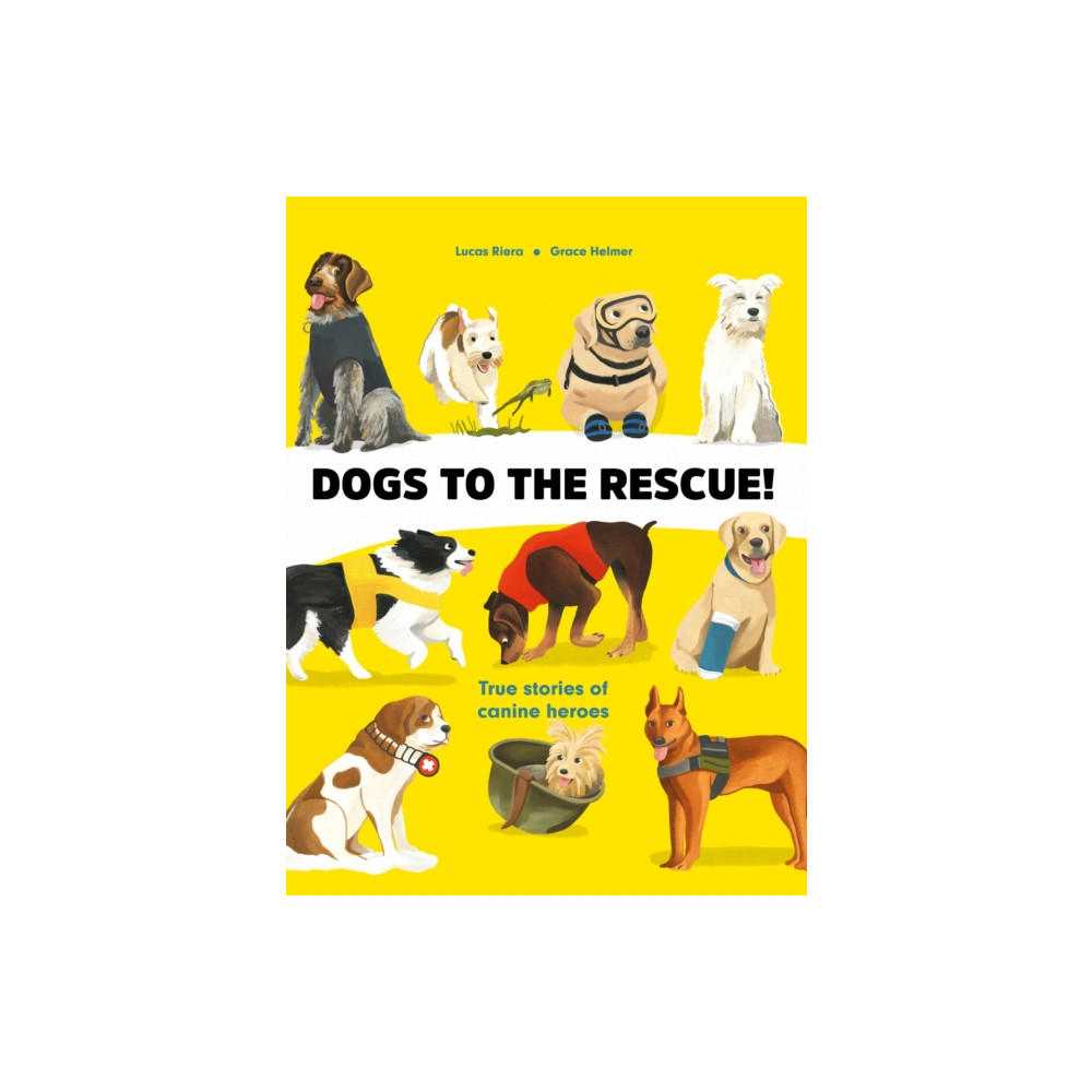 Dogs to the Rescue (inbunden, english) Hachette Children's Group