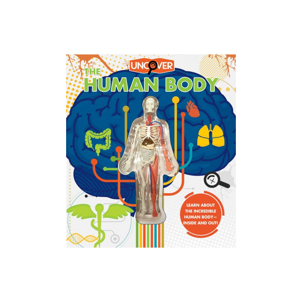 Uncover the Human Body (inbunden, english) Silver Dolphin Books