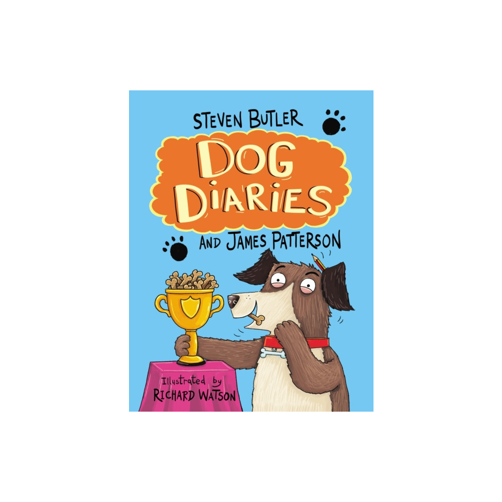 Dog Diaries (häftad, english) Cornerstone