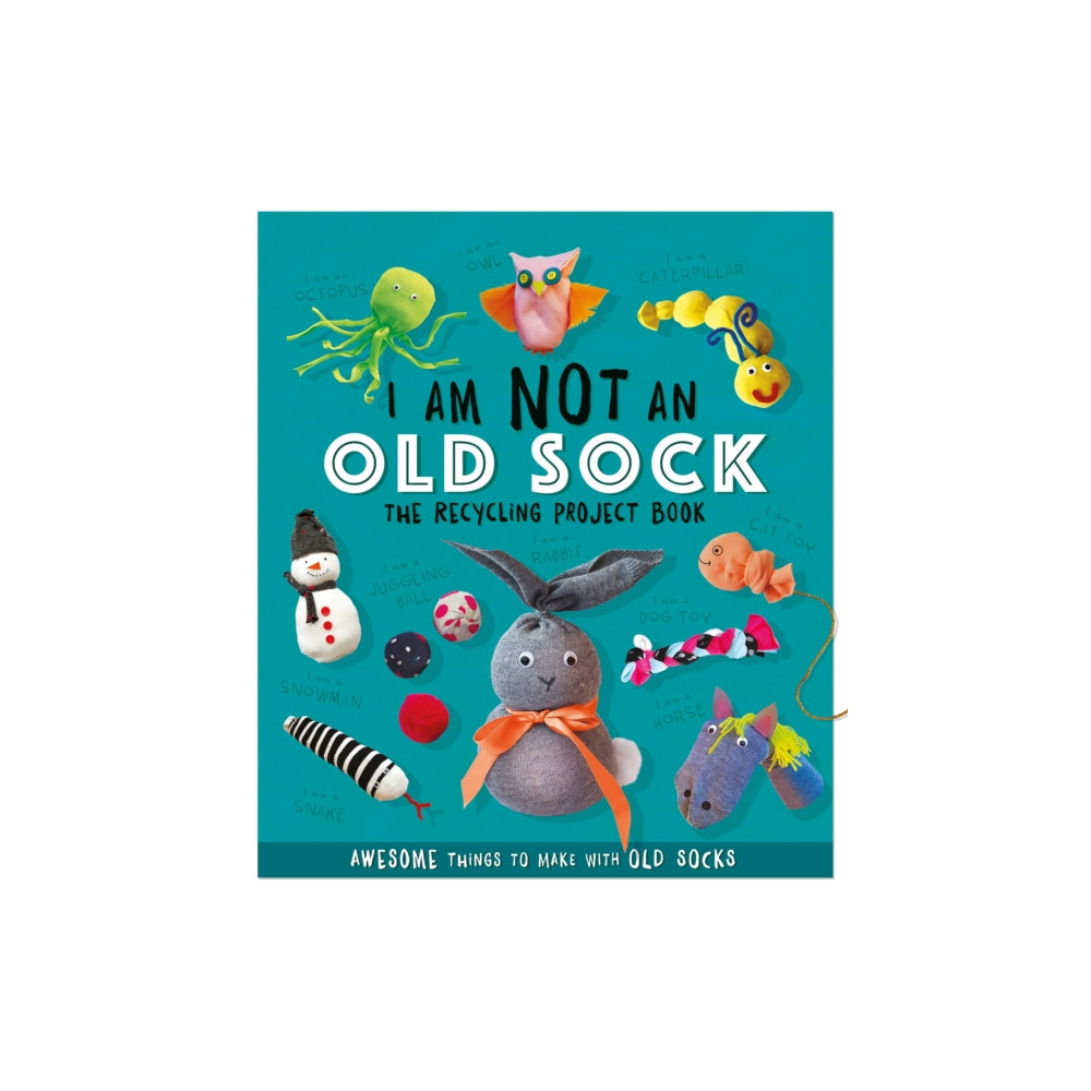 I Am Not An Old Sock - The Recycling Project Book (häftad, english) Hachette Children's Group
