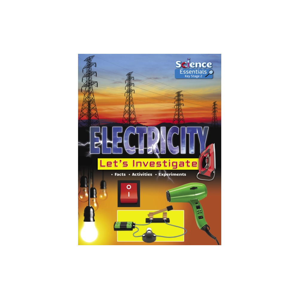 Electricity (häftad, english) Ruby Tuesday Books Ltd