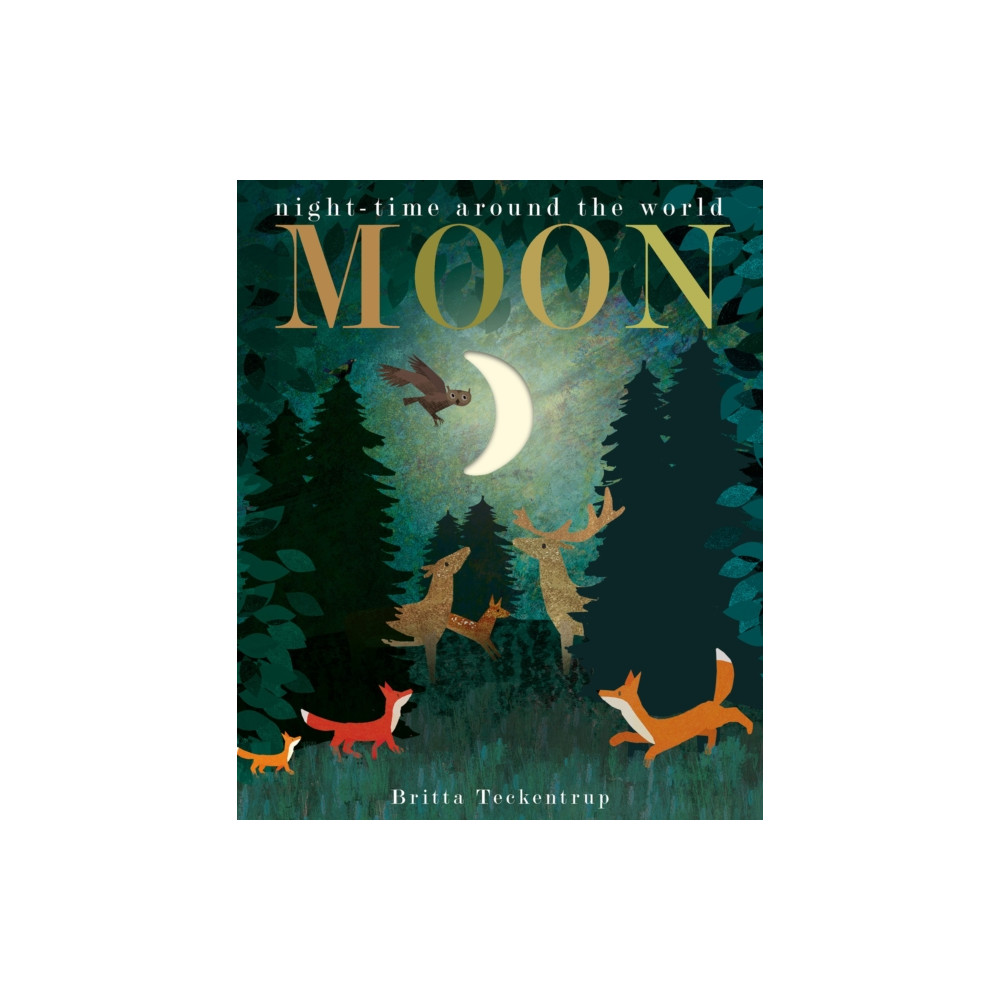 Moon (bok, board book, english) Little Tiger Press Group