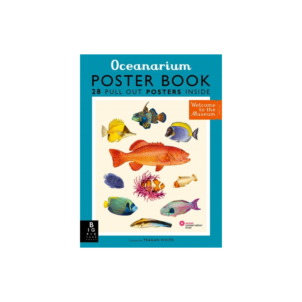 Oceanarium Poster Book (häftad, english) Templar Publishing