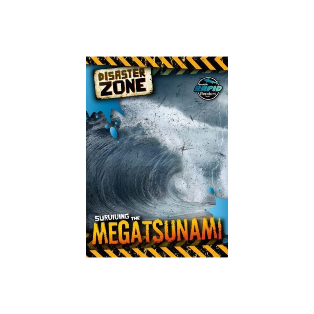 Surviving the Megatsunami (häftad, english) BookLife Publishing