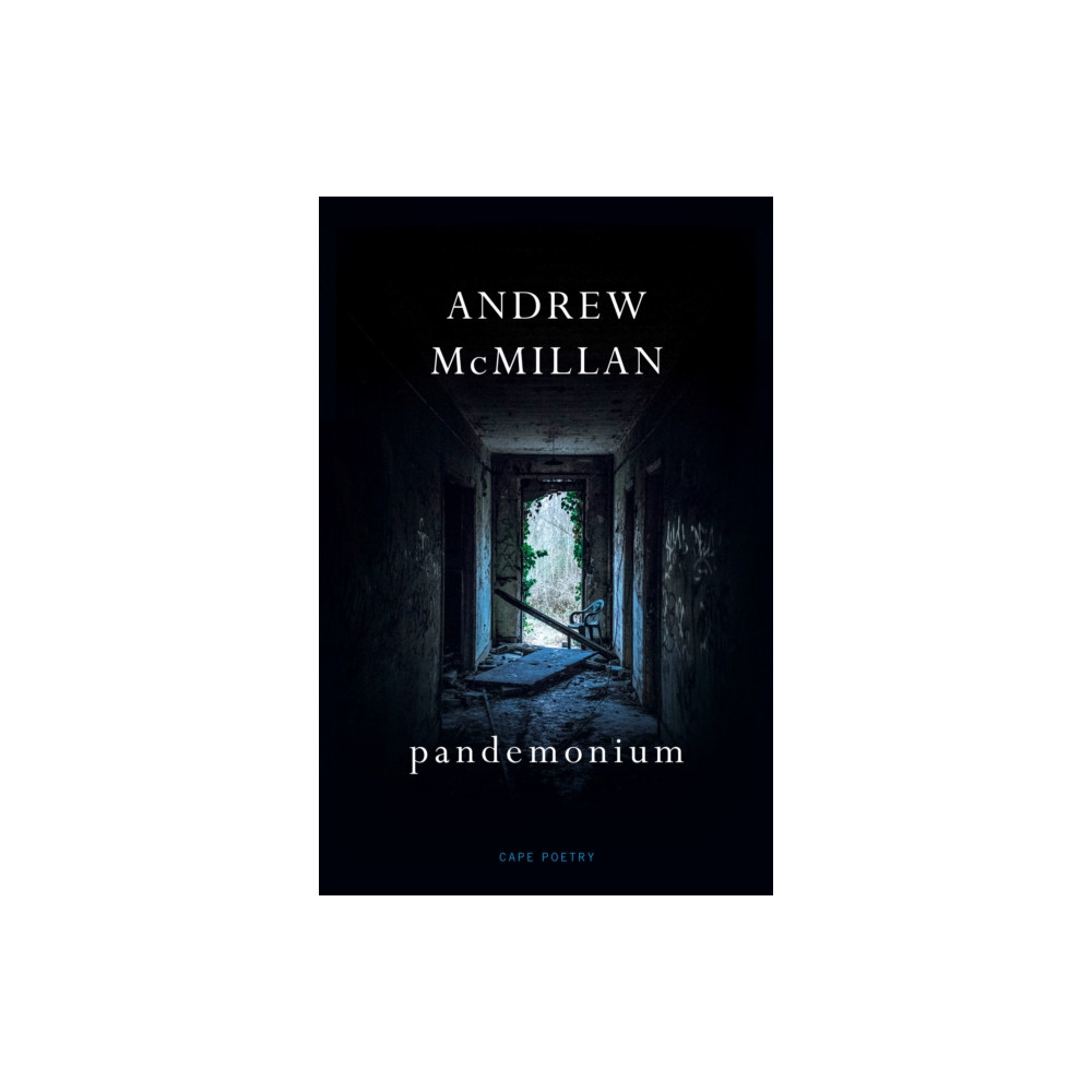 pandemonium (häftad, english) Vintage Publishing