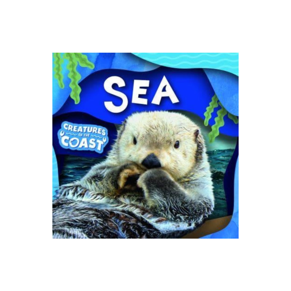 Sea (häftad, english) BookLife Publishing