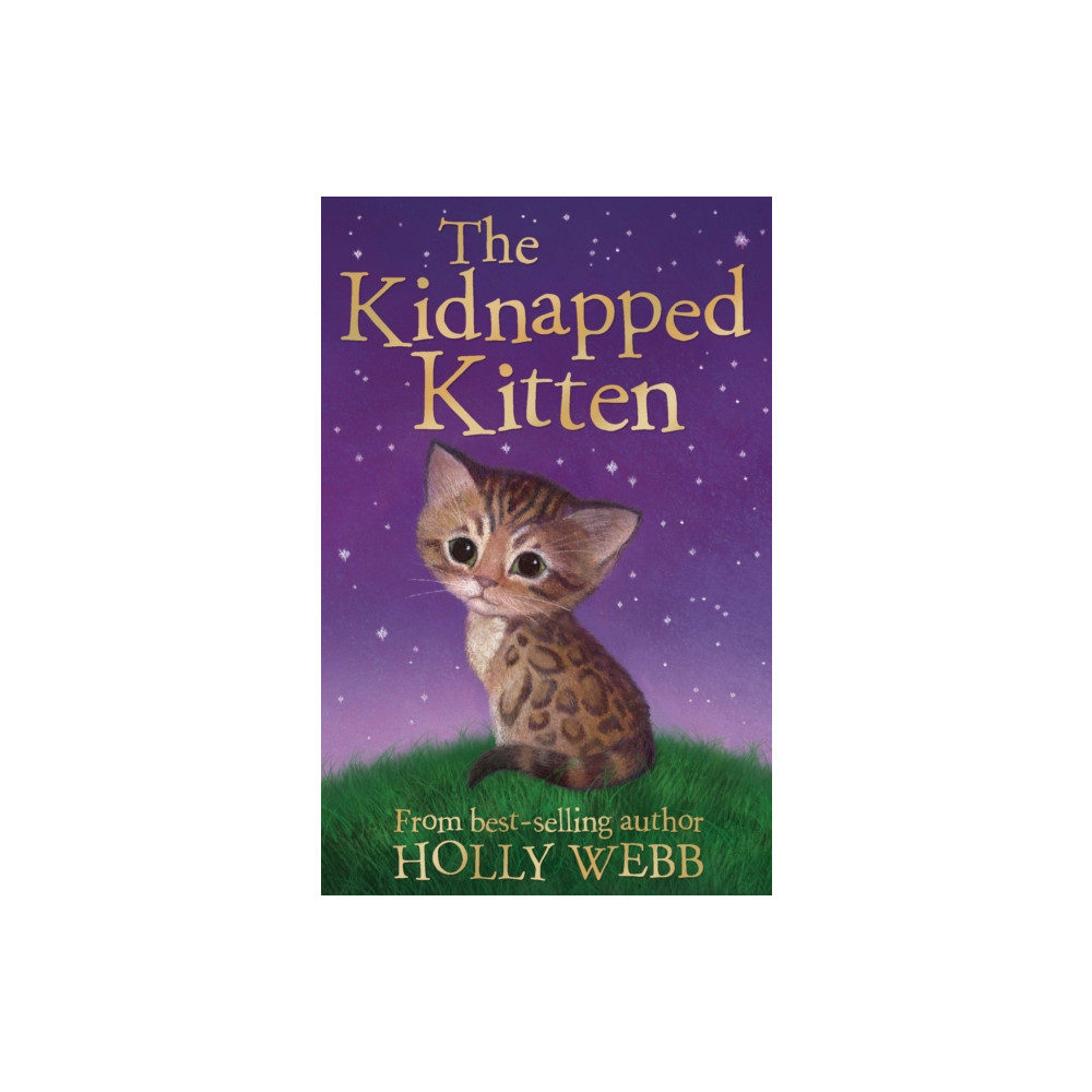 The Kidnapped Kitten (häftad, english) Little Tiger Press Group