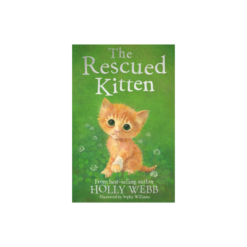 The Rescued Kitten (häftad, english) Little Tiger Press Group