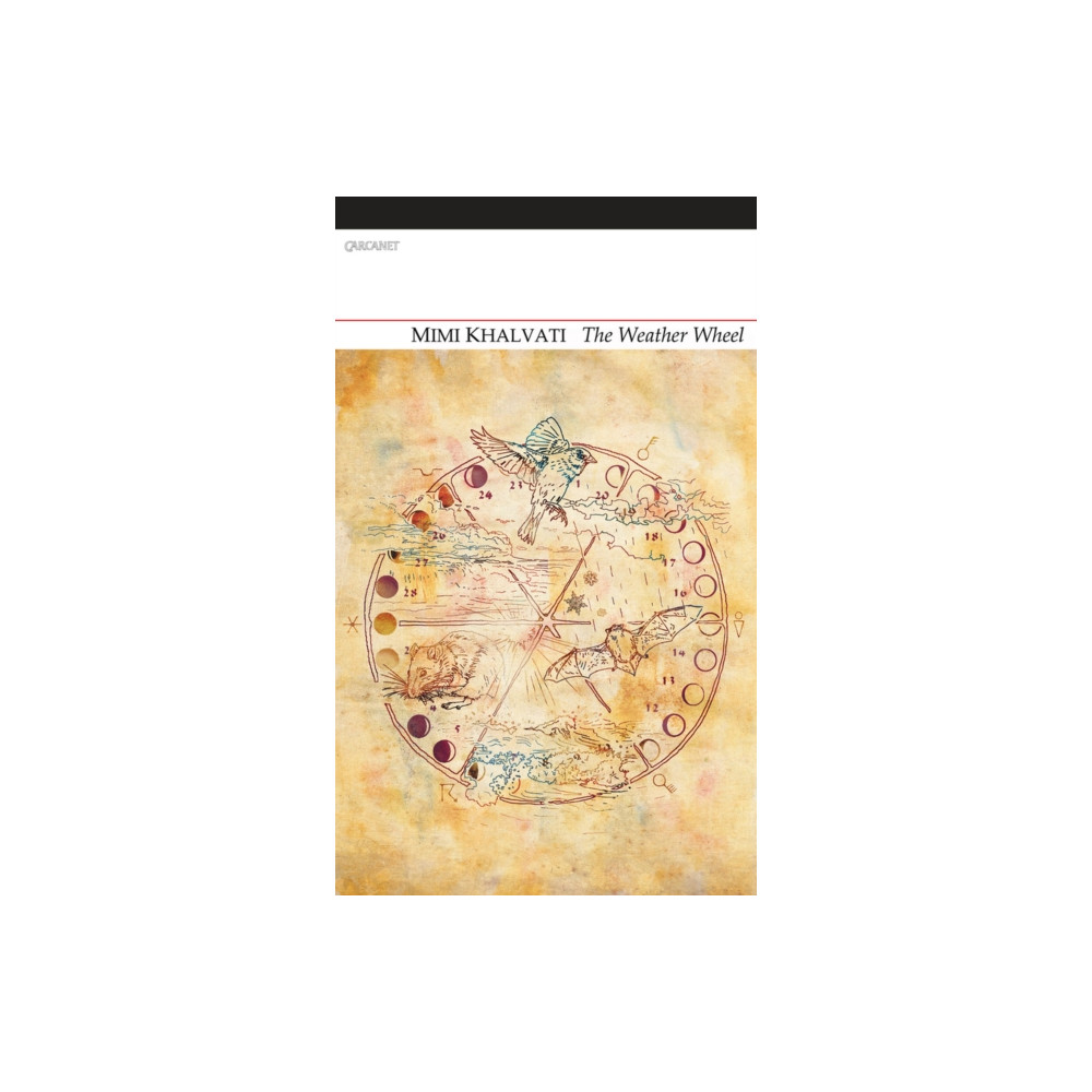 The Weather Wheel (häftad, eng)